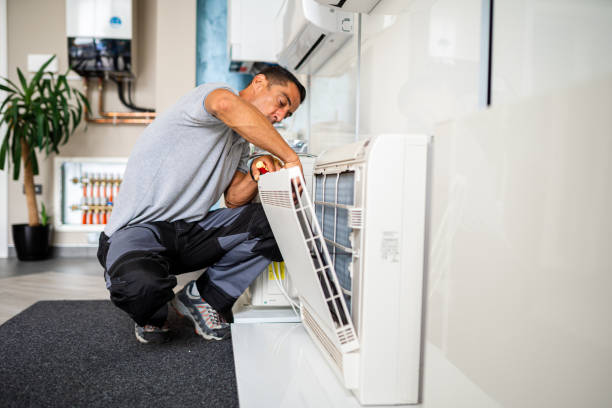 Best Air Duct Mold Removal  in Easton, CA