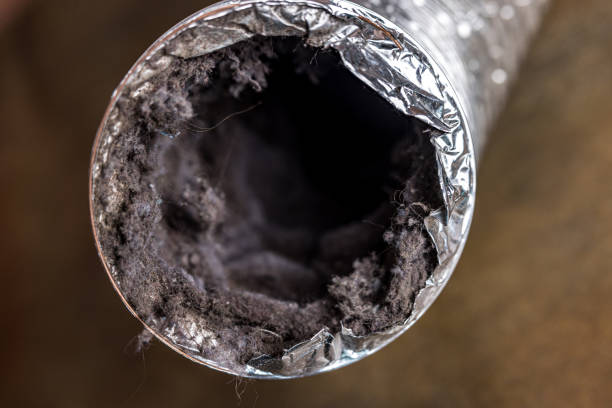 Best Air Duct Cleaning Near Me  in Easton, CA