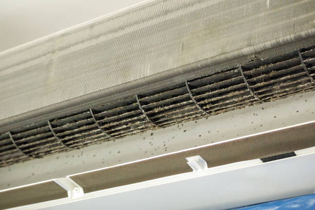 Best Air Vent Cleaning Services  in Easton, CA